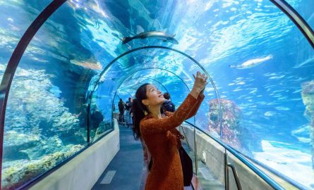 Aquarium in Barcelona