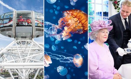 London Eye Kombi-Ticket mit Aquarium und Madame Tussauds