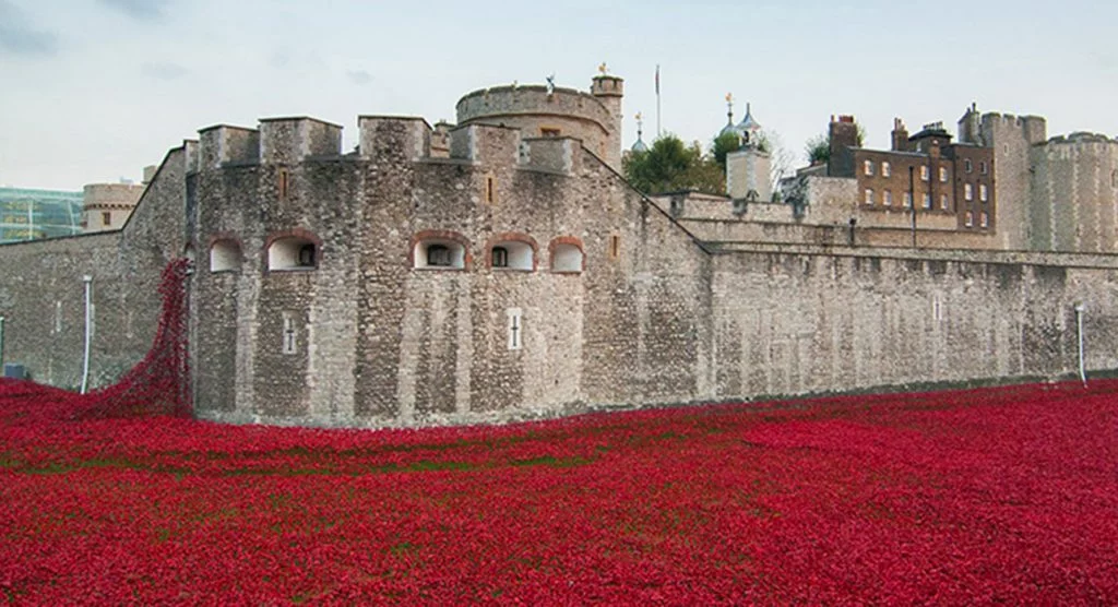 Tower of London Mohnblumen