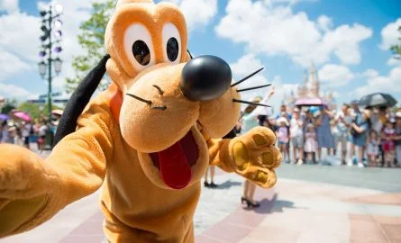 Ticket für das Disneyland Paris