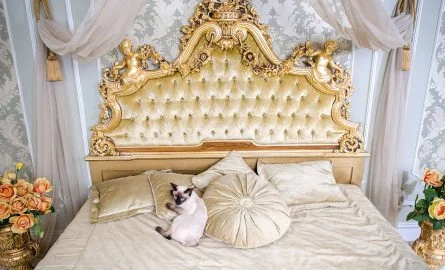 Schloss Versailles Innen