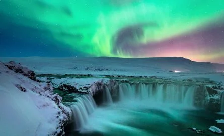 Nordlichter Reykjavik