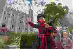 Tower of London: Tour mit einem Beefeater