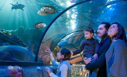 Gardaland Sea Life Aquarium