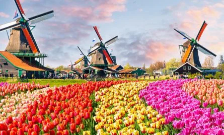 Keukenhof tickets