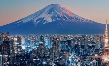 tokyo activities